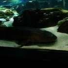 20150102_161241