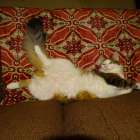 DSC00788