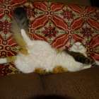 DSC00789