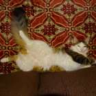 DSC00791