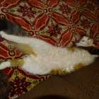 DSC00797