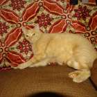 DSC00799