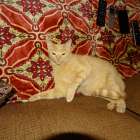 DSC00800