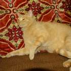 DSC00801