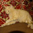 DSC00802
