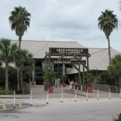 Зоопарк Jacksonville 2010