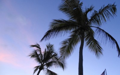 Поездка на Florida Keys ‘2017